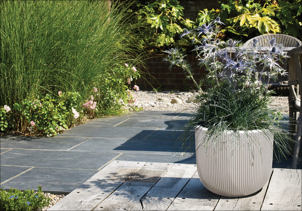 Echo White Egg Pot