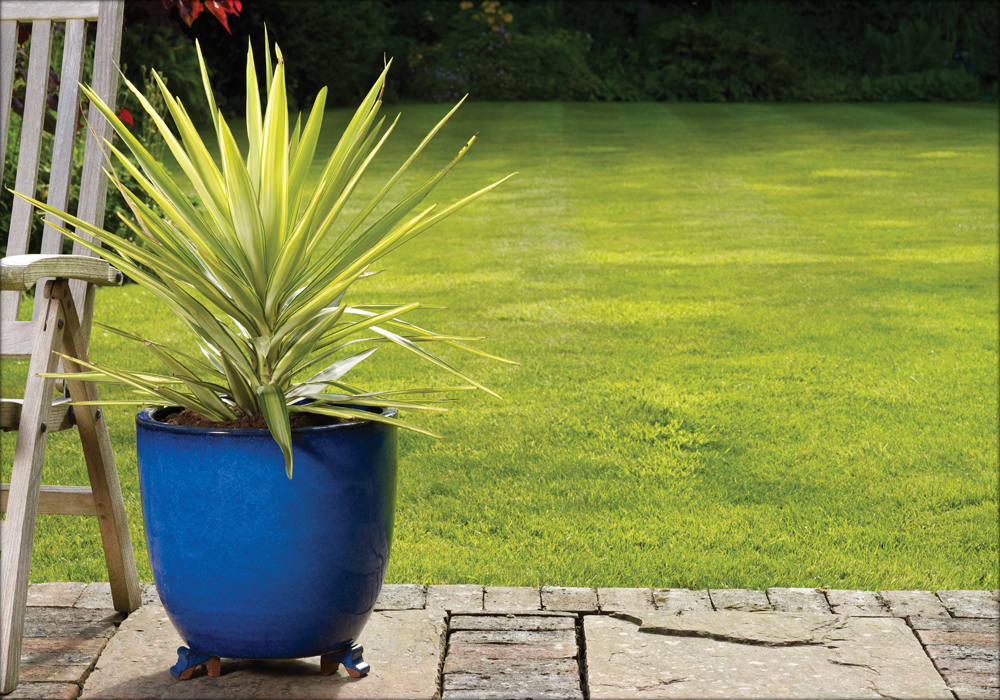 Blue Glazed Low Egg Pot