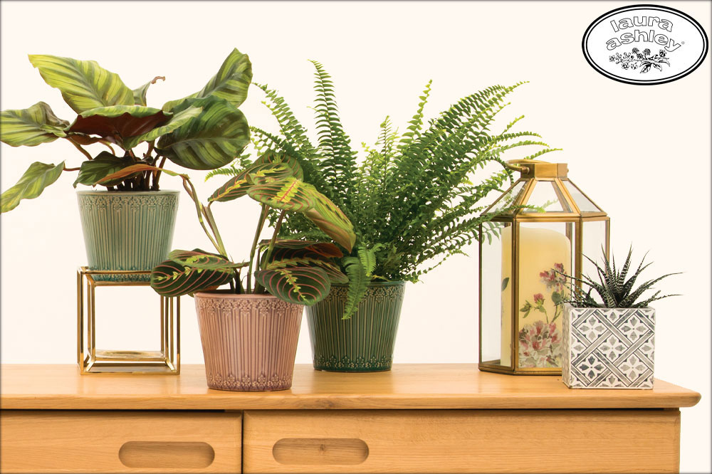 Laura Ashley Indoor Pots | Edie