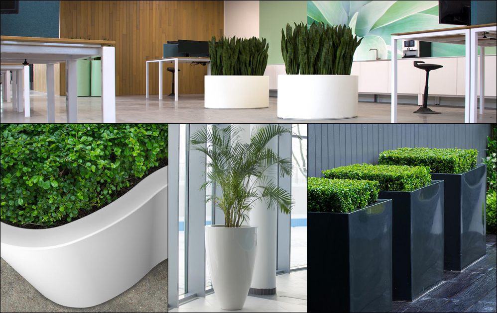 ADEZZ Glossy Fibreglass Planters