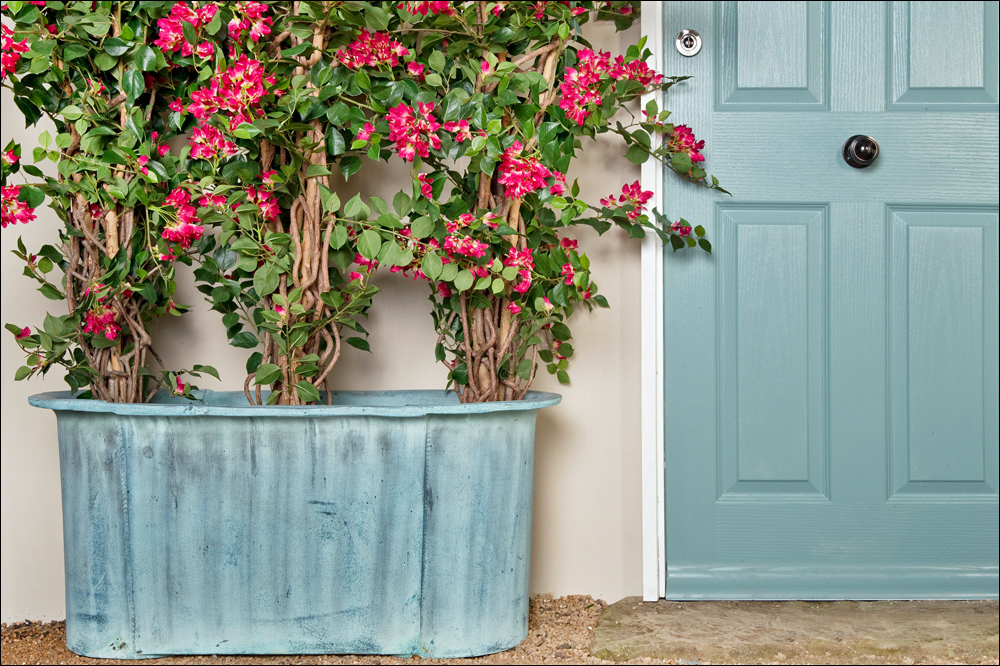 Capital Garden Products Fibreglas Provencial Trough