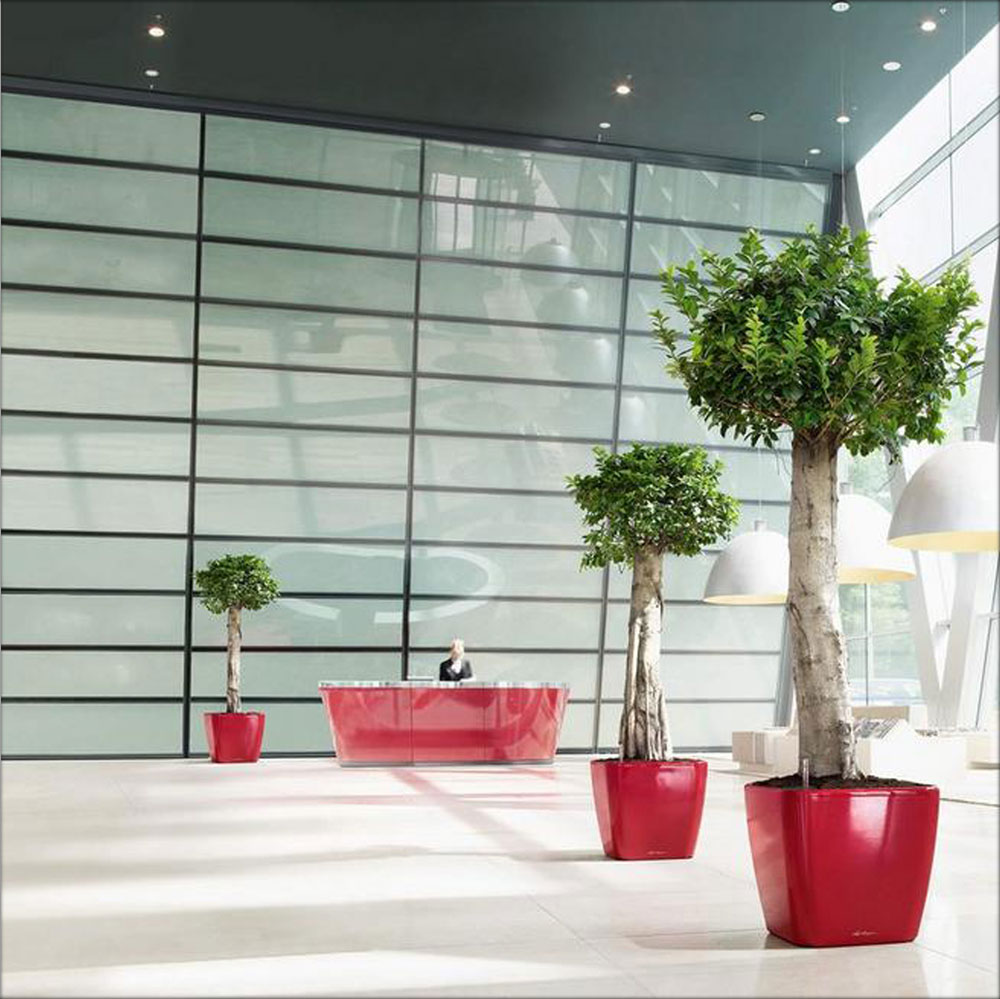 Lechuza Self-Watering Office Planters
