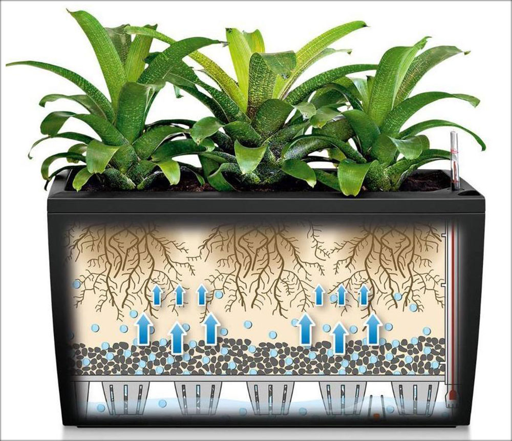 Lechuza Self-Watering Office Planters