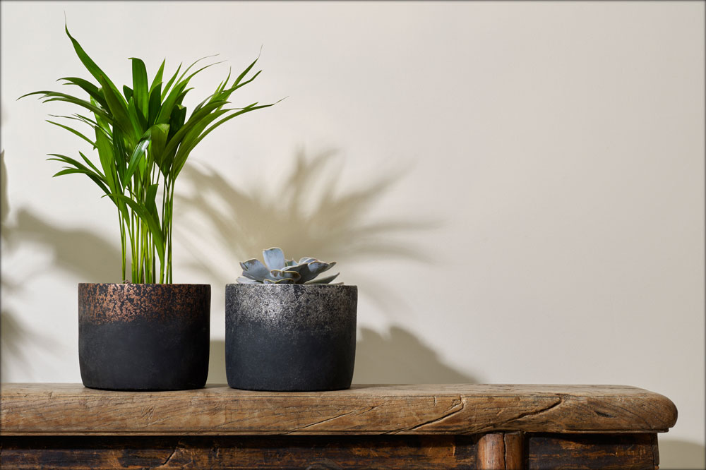 Modern Indoor Pots