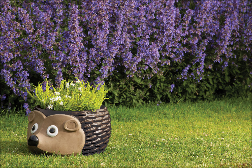 Novelty Hedgehog Garden Planter