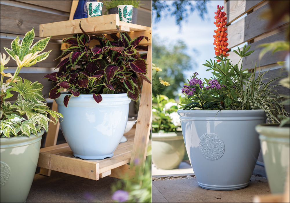 Traditional Collection of Garden Pots by Plant Avenue