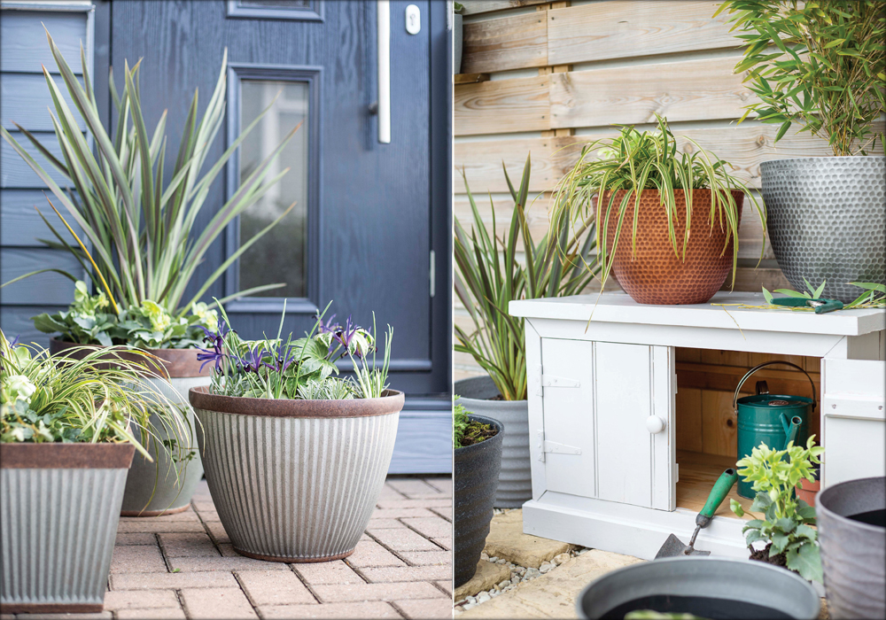 The Urban Collection by Plant Avenue