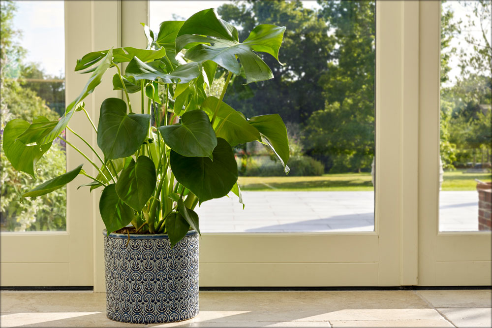 RHS Indoor Pots and Pot Covers for Houseplant