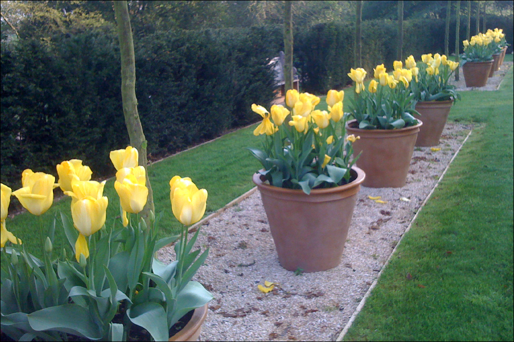 Faux Terracotta Garden Plain Pot
